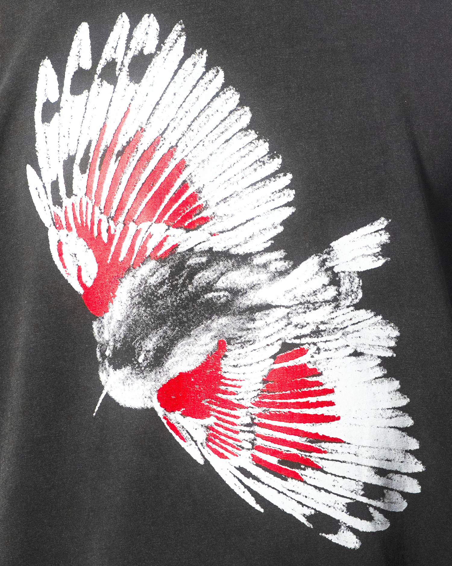 Tee-shirt Trichodrome Quelque Part