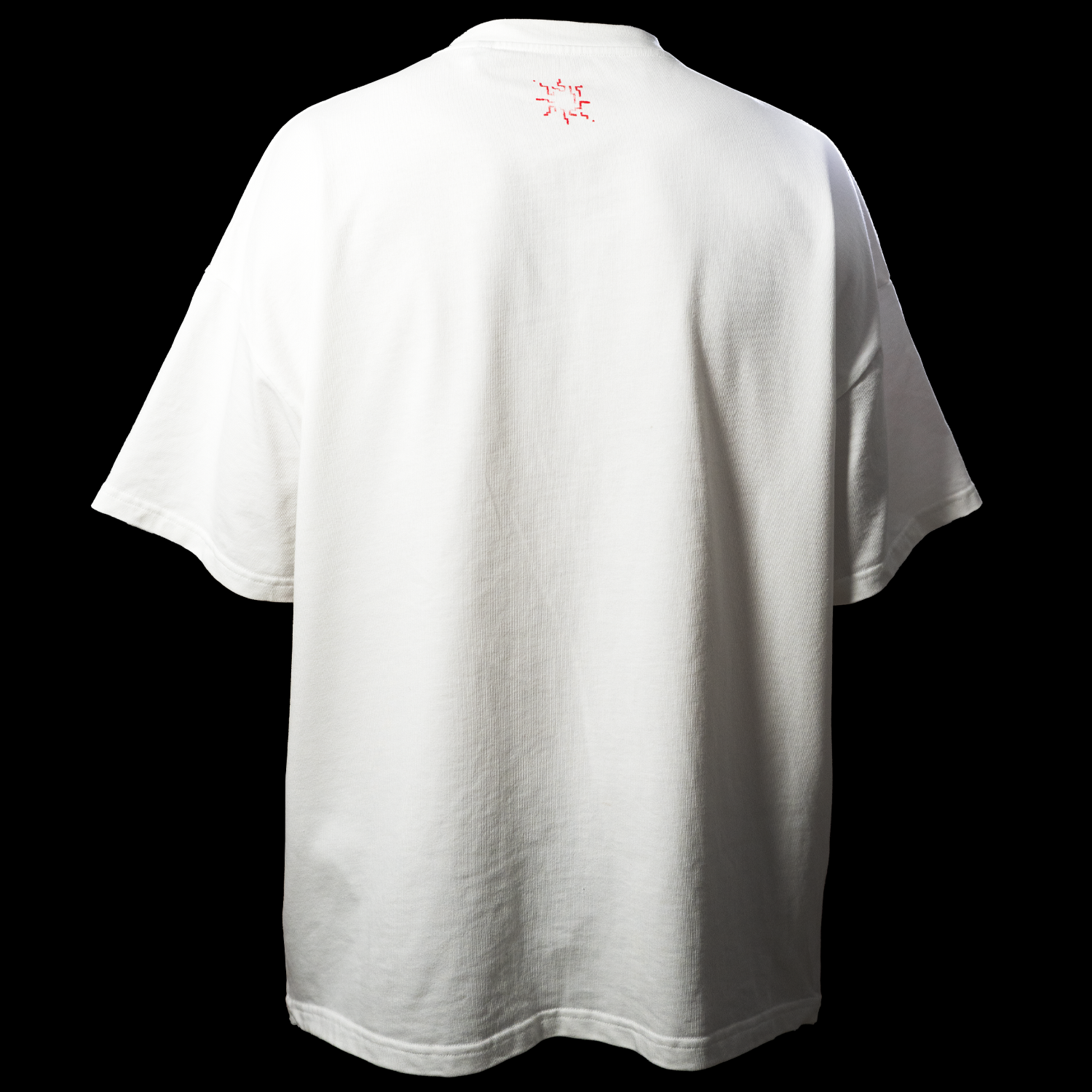 Tee-shirt Trichodrome Blanc Quelque Part