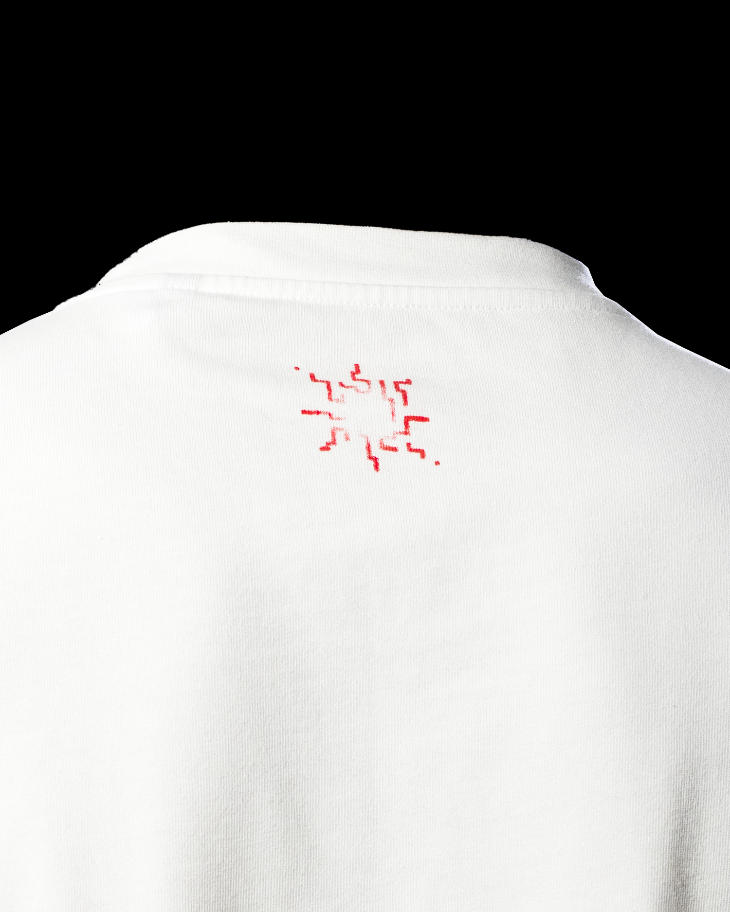 Tee-shirt Trichodrome Blanc Quelque Part
