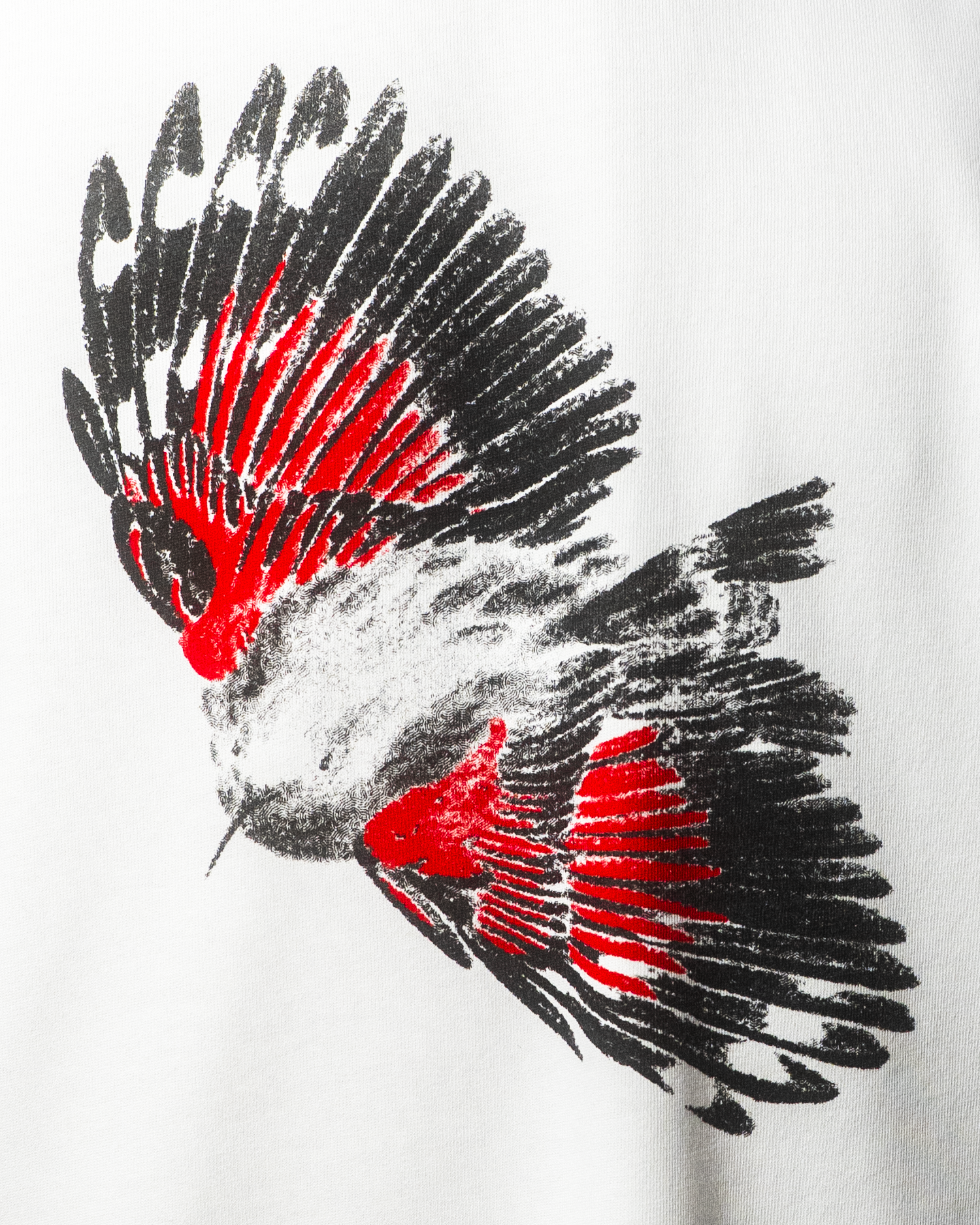 Tee-shirt Trichodrome Blanc Quelque Part